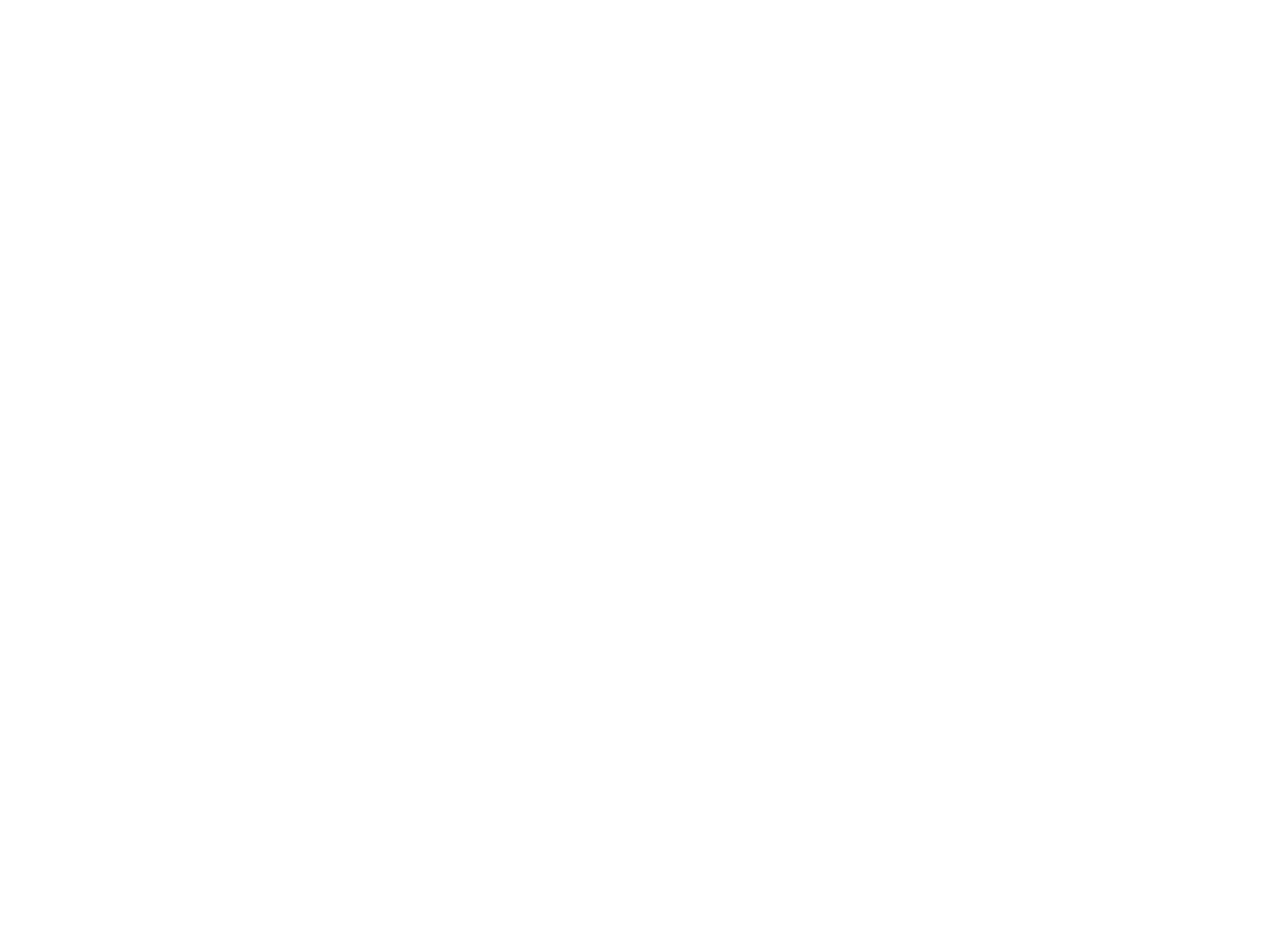 Logo Freiwillige Feuerwehr Stadt Lich