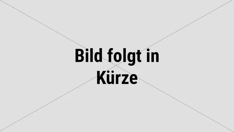 Feuerwehrfahrzeug LF 10/6 Florian Lich 5-43